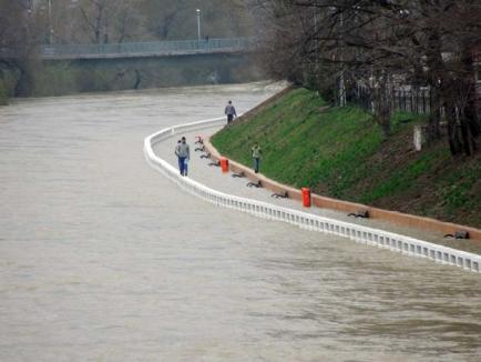 Oradea ieri, Oradea azi: Viiturile care au inundat oraşul din secolul XIX până azi